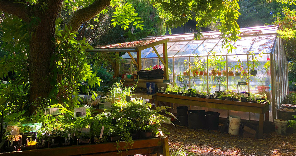 Kruckeberg Botanic Garden, United States